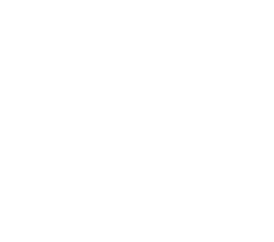 Zorro Azul Store
